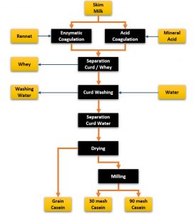 Casein Process - HL PROCESS